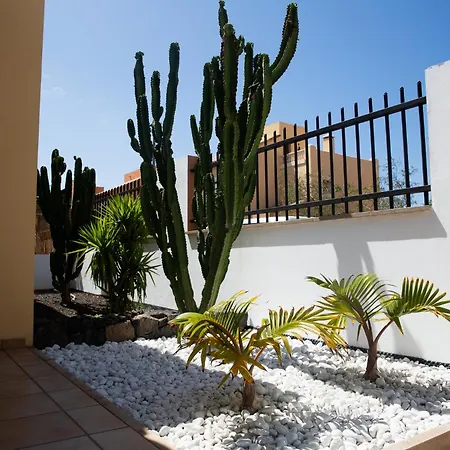 Surf Dream Vila *