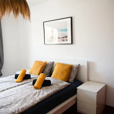 Surf Dream Corralejo